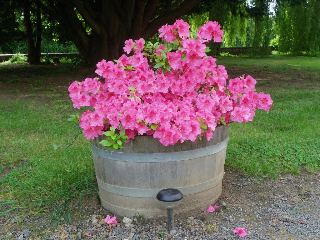 Bed & Breakfast Les Malvaux