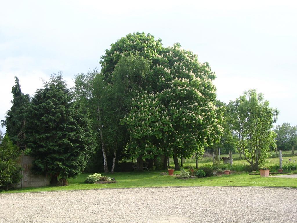 Bed & Breakfast Les Malvaux Huriel